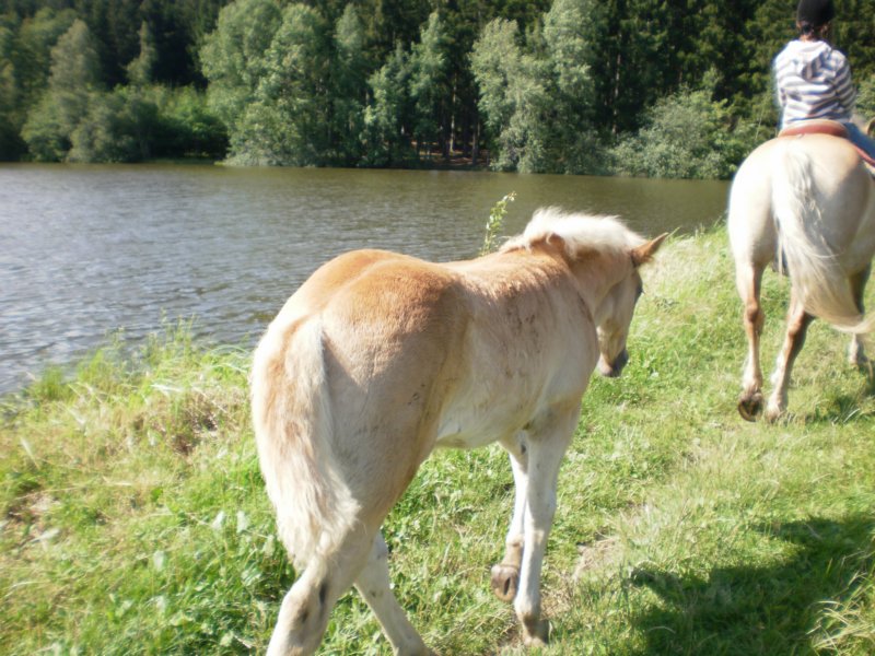 Fotografie
