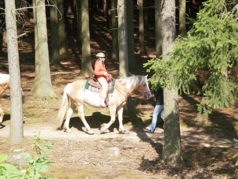 Fotografie
