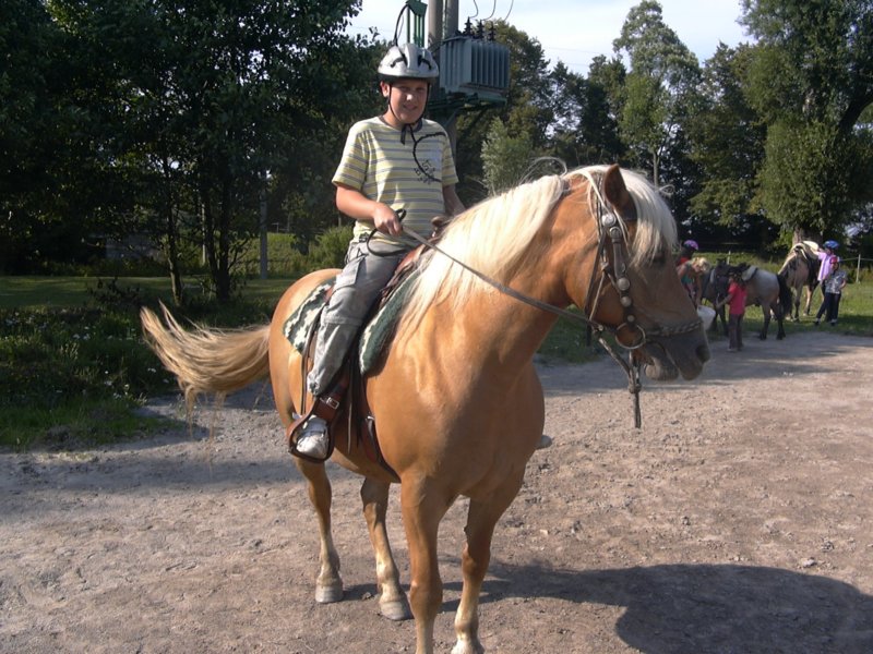 Fotografie