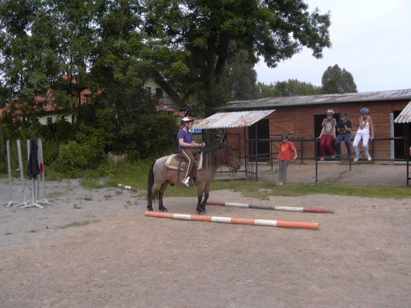 Fotografie