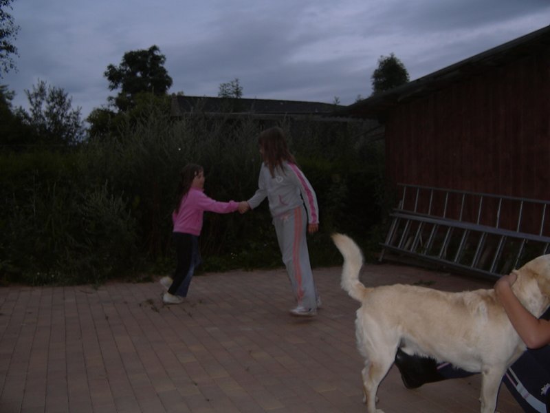 Fotografie