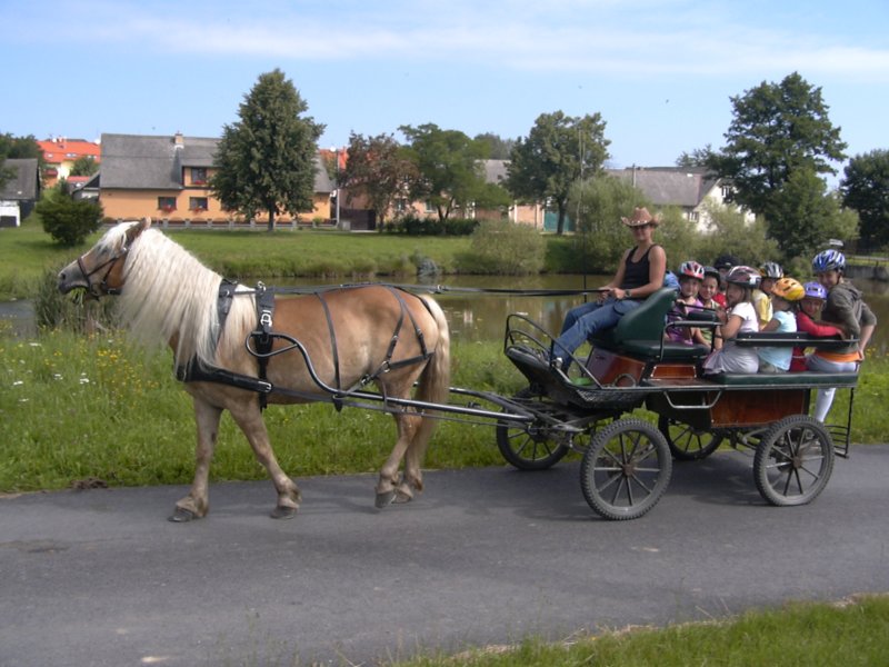 Fotografie