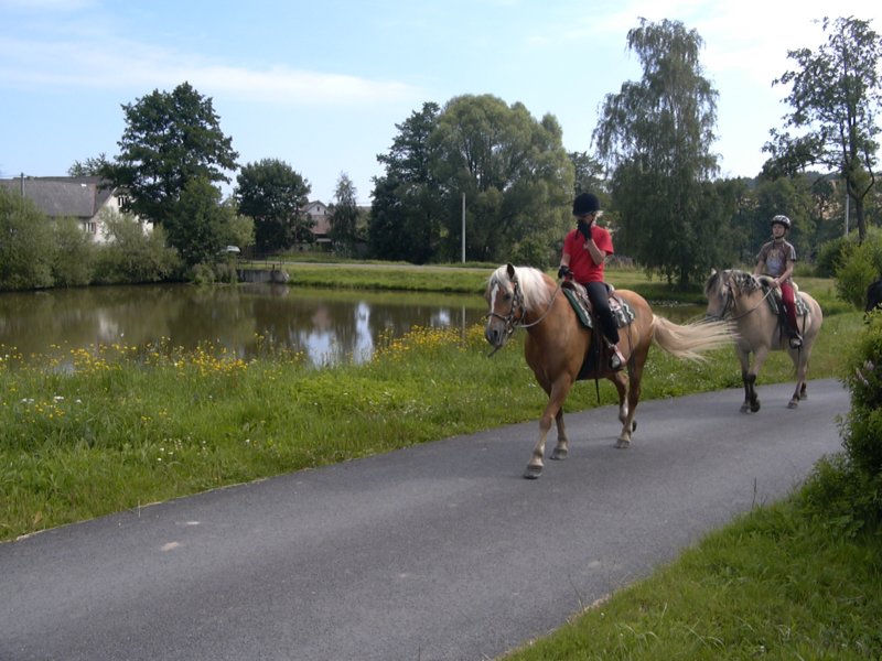 Fotografie