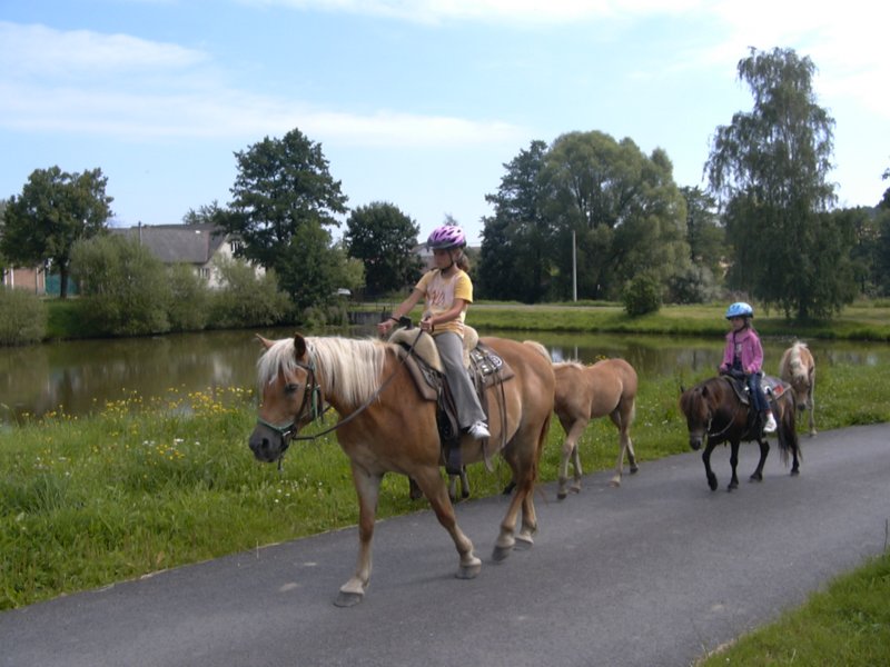 Fotografie
