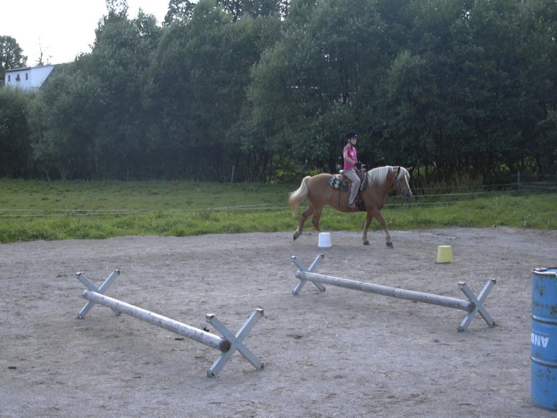 Fotografie